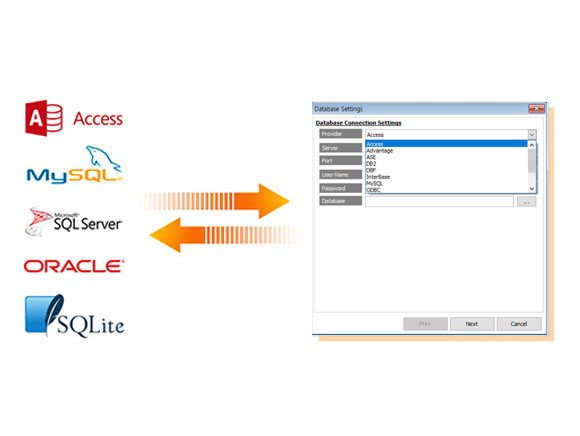 Database Management