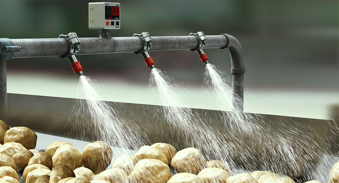 Potato Washing Conveyors