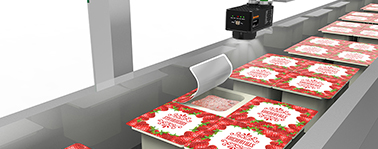Packaged Food Transport Conveyors